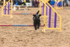 349A9763-СОЦ-СЕТИ