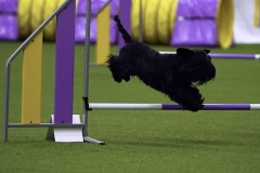 Screenshot_20240615_162931