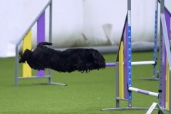 Screenshot_20250807_162150