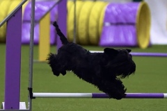 Screenshot_20250807_162221